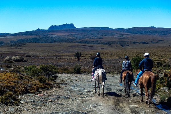 Cradle Country Adventures